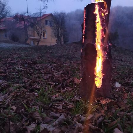 Apartament W Domu Na Wsi Tomaszów Lubelski المظهر الخارجي الصورة