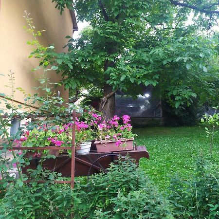 Apartament W Domu Na Wsi Tomaszów Lubelski المظهر الخارجي الصورة