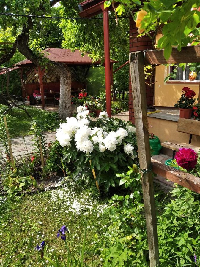 Apartament W Domu Na Wsi Tomaszów Lubelski المظهر الخارجي الصورة