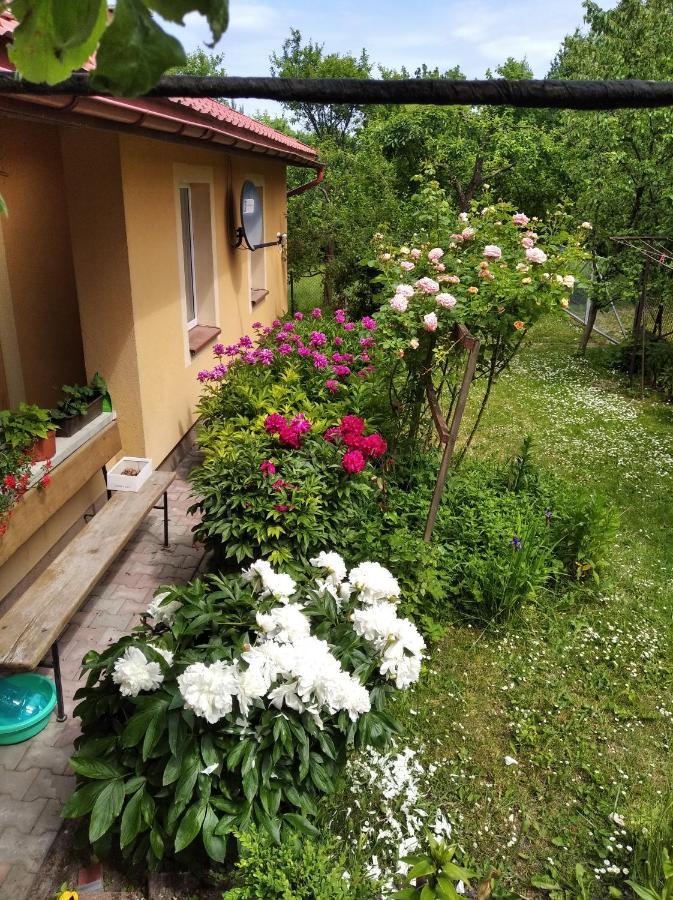 Apartament W Domu Na Wsi Tomaszów Lubelski المظهر الخارجي الصورة