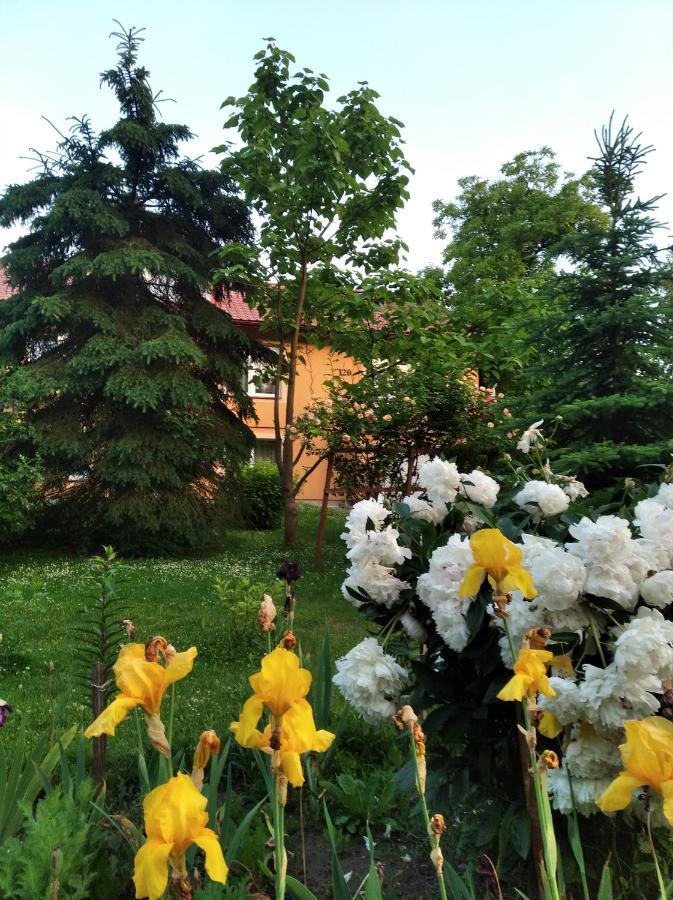 Apartament W Domu Na Wsi Tomaszów Lubelski المظهر الخارجي الصورة