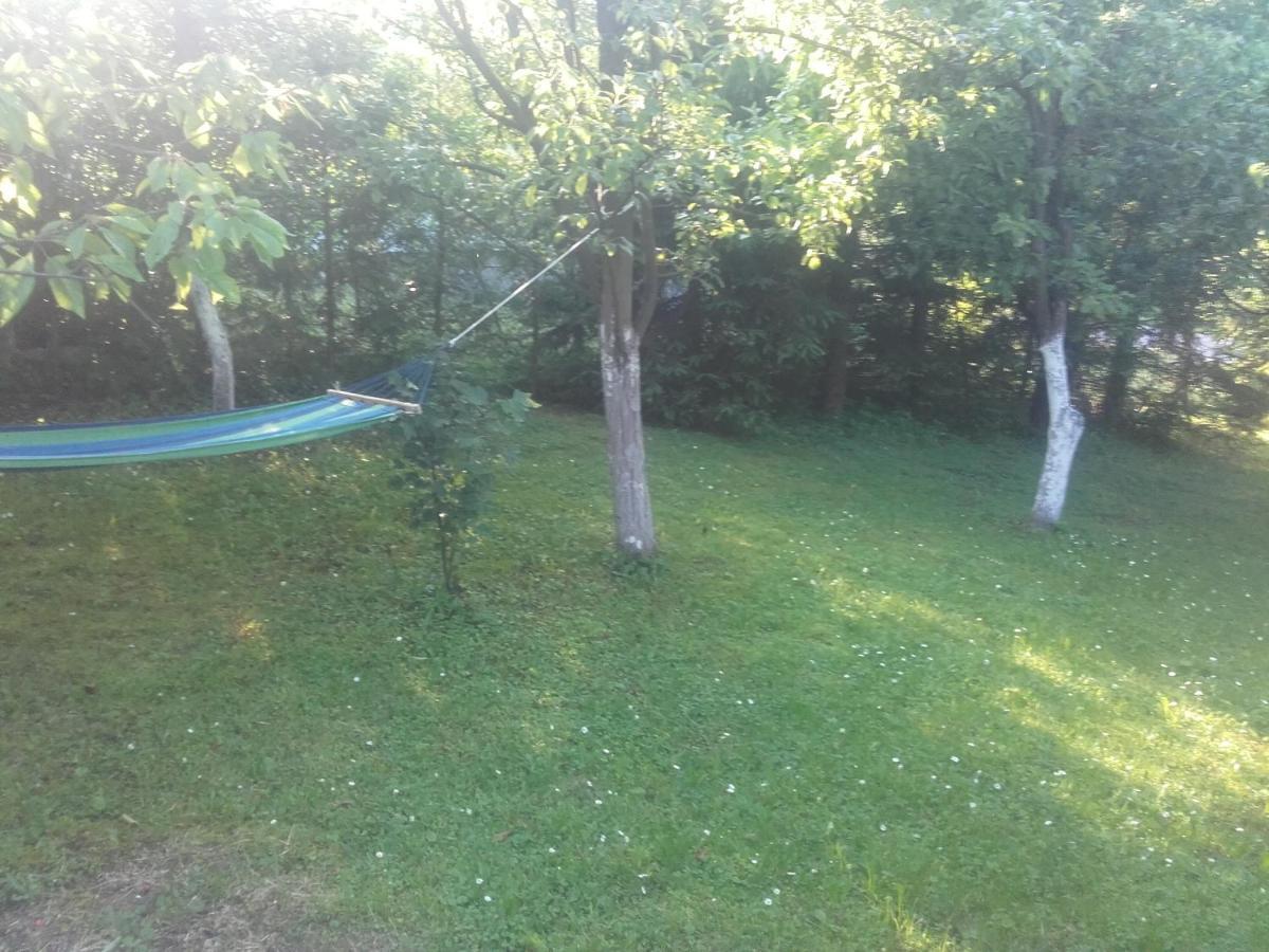Apartament W Domu Na Wsi Tomaszów Lubelski المظهر الخارجي الصورة